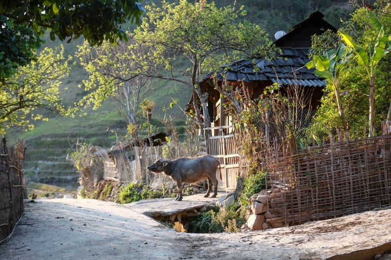 Tha hồ sống chậm với những ngôi làng đẹp tựa cổ tích ở Việt Nam - Kỳ 2