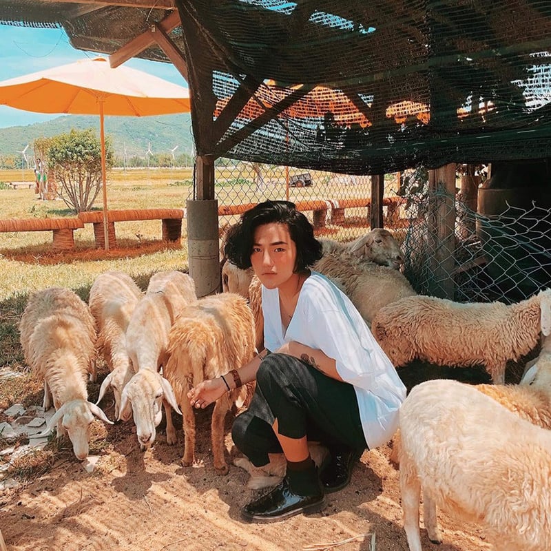 Sốt xình xịch Đồng cừu Suối Tiên - "tiểu Bali" ngàn góc sống ảo gần xịt Nha Trang