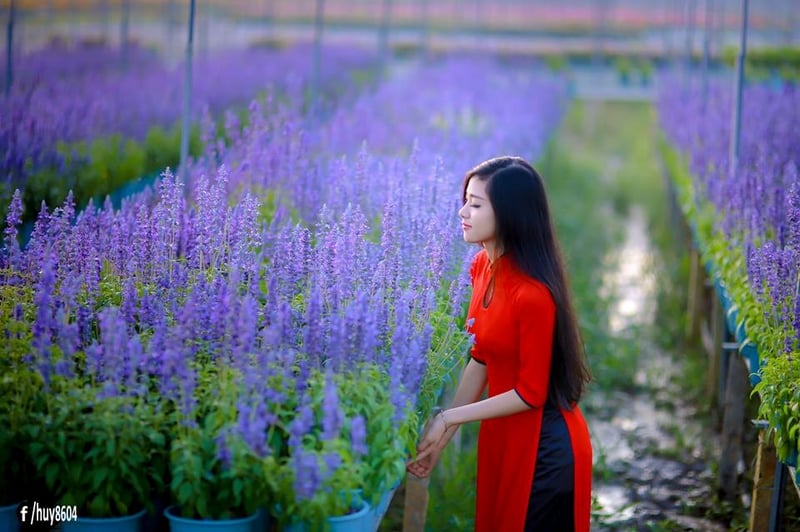 Lạc bước vào vườn hoa xác pháo đẹp ngỡ ngàng ở Biên Hòa