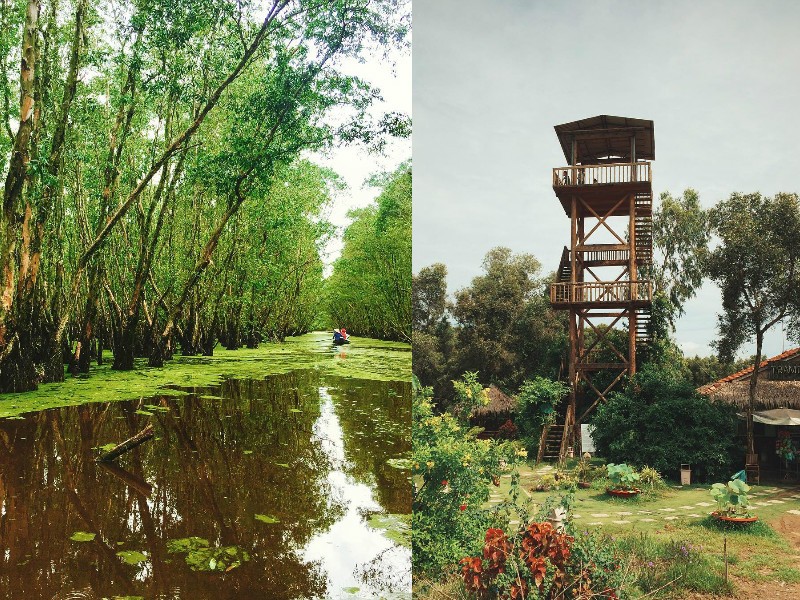 Mùa nước nổi ghé 5 rừng tràm đẹp nhất Việt Nam