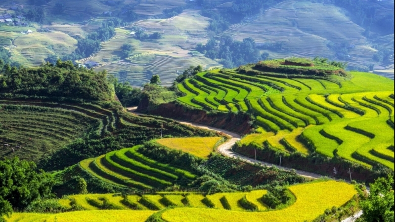 Ruộng bậc thang Việt Nam tỏa sáng cùng cảnh đẹp thế giới