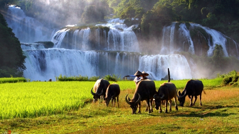 Ngỡ ngàng trước vẻ đẹp thiên nhiên Việt Nam
