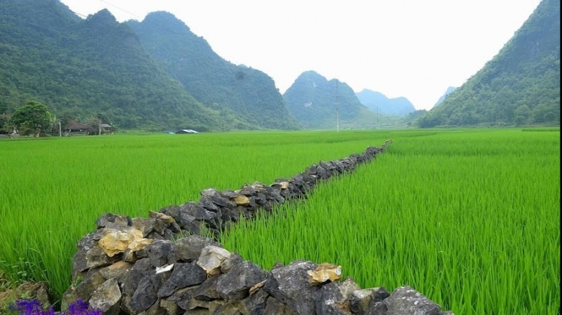 Lạ lùng ngôi làng đồ đá thời hiện đại của Việt Nam - Phần 1