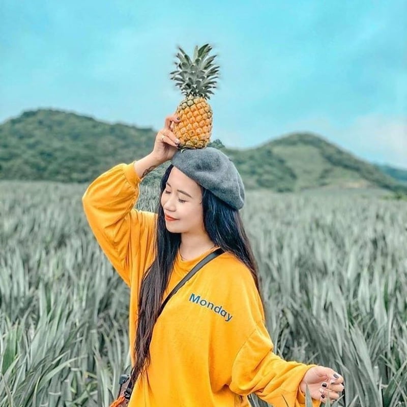 Mê Ninh Bình mà chưa đến đồi dứa Tam Điệp thì bạn đã thiếu sót rồi